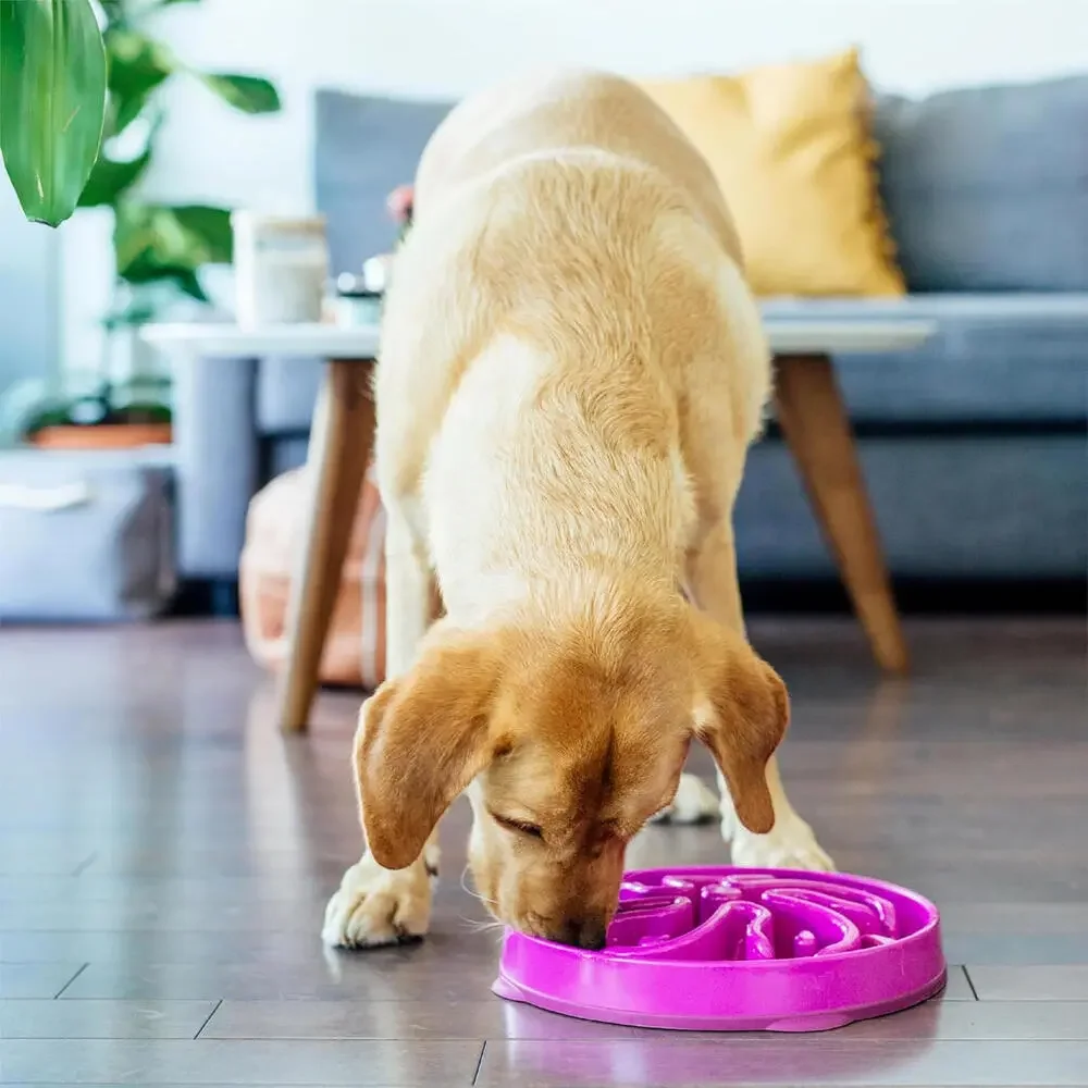 Large Slow Feeder Bowl, Puzzle Maze for Fast Eaters, Medium to Large Dogs,